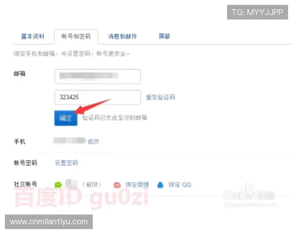 掌握米兰网站登录技巧提升账号安全性的方法