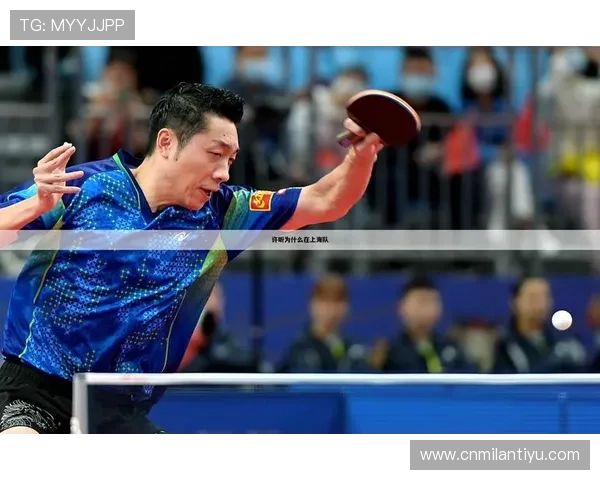 乐动体育娱乐为体育爱好者提供专业的赛事分析、专家解读和个性化推荐,提升你的观赛体验和体育知识水平 乐动体育娱乐为体育爱好者提供专业的赛事分析、专家解读和个性化推荐,提升你的观赛体验和体育知识水平